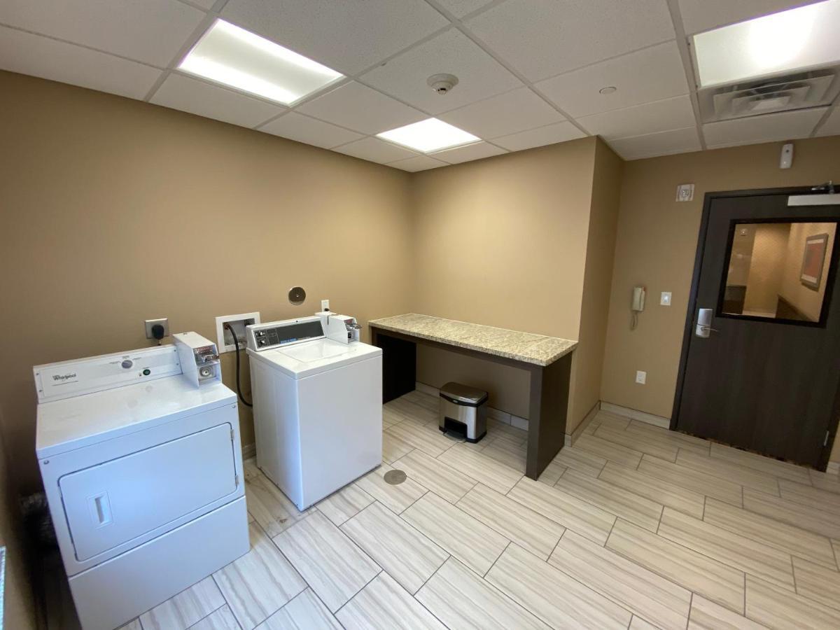Comfort Suites Near Sam Houston Race Park Jersey Village Eksteriør billede