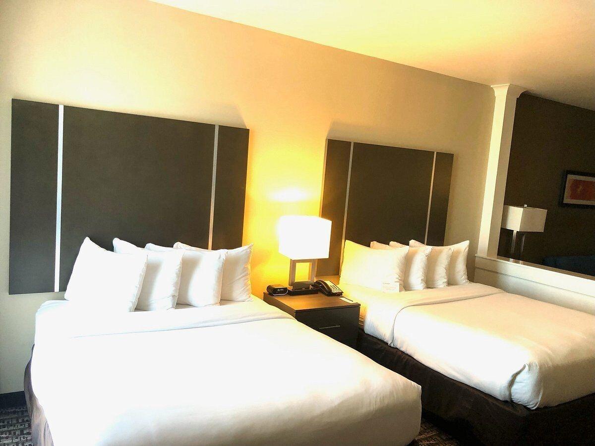 Comfort Suites Near Sam Houston Race Park Jersey Village Eksteriør billede
